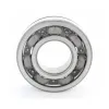 NTN Bearing Corporation of America Bearing ATSX05A45N