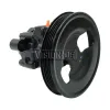 TERREPOWER formerly BBB Industries Reman Power Steering Pump BBB-920-0102