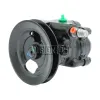 TERREPOWER formerly BBB Industries Reman Power Steering Pump BBB-920-0124