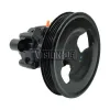 TERREPOWER formerly BBB Industries Reman Power Steering Pump BBB-920-0126