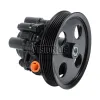 TERREPOWER formerly BBB Industries New Power Steering Pump BBB-N720-0193