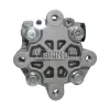 TERREPOWER formerly BBB Industries New Power Steering Pump BBB-N920-0107