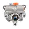 TERREPOWER formerly BBB Industries New Power Steering Pump BBB-N920-0154