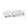 Transtar Standard Bearing Kit with Synchronizer BK114AWS