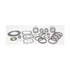 Transtar Standard Bearing Kit with Synchronizer BK300ZFBWS