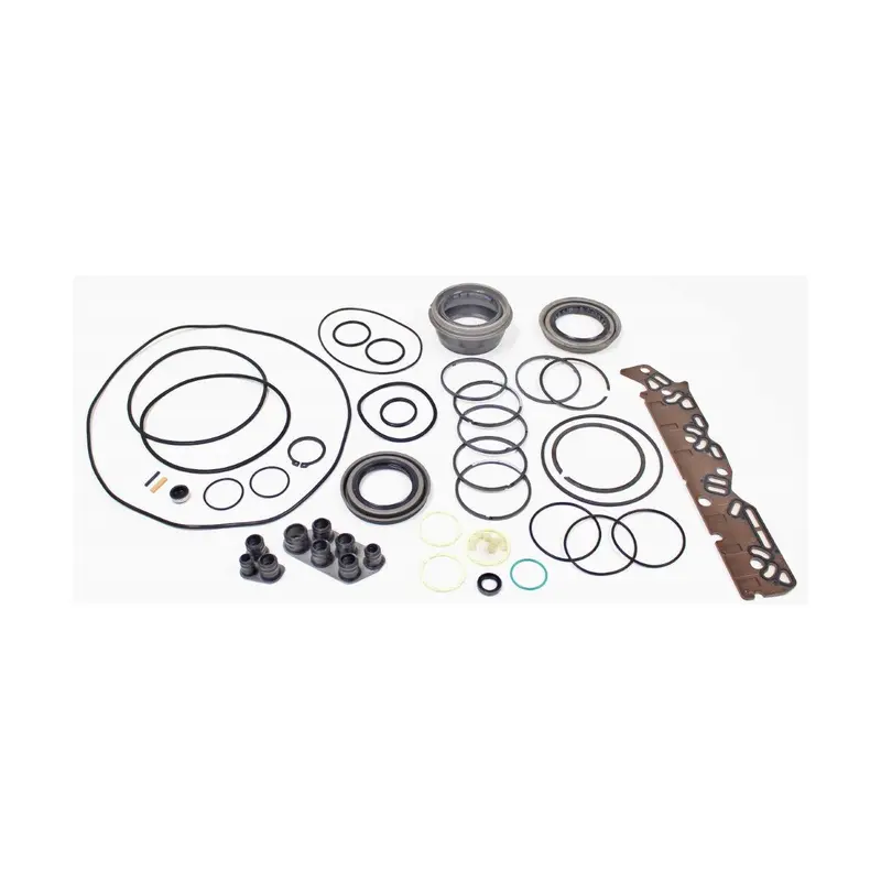 ACDelco Overhaul Kit D104002B