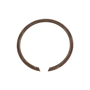ACDelco Snap Ring D34865