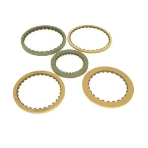 ZF Friction Module D55119