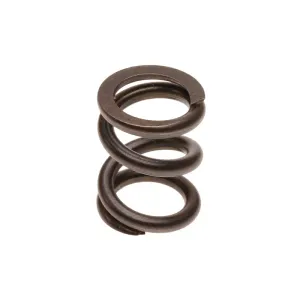 ACDelco Spring D74926F