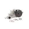 Dayco Engine Water Pump DAY-DP1308