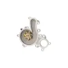 Dayco Engine Water Pump DAY-DP1437