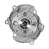 Dayco Engine Water Pump DAY-DP1831