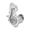 Dayco Engine Water Pump DAY-DP245