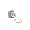 Dayco Engine Water Pump DAY-DP809