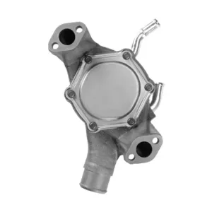 Dayco Engine Water Pump DAY-DP957H