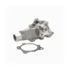 Dayco Engine Water Pump DAY-DP968