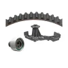 Dayco Engine Timing Belt Kit with Water Pump DAY-WP249K1C