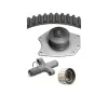 Dayco Engine Timing Belt Kit with Water Pump DAY-WP295K1A