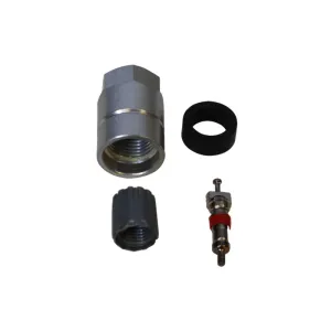 DENSO Auto Parts Tire Pressure Monitoring System (TPMS) Sensor Service Kit DEN-999-0624