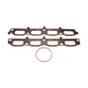 Dorman Products Engine Intake Manifold Gasket Set DOR-615-718