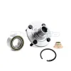 DuraGo Wheel Hub Repair Kit DUR-29518503