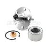 DuraGo Wheel Hub Repair Kit DUR-29518508