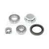 DuraGo Wheel Bearing Kit DUR-29594033