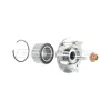 DuraGo Wheel Hub Repair Kit DUR-29596071