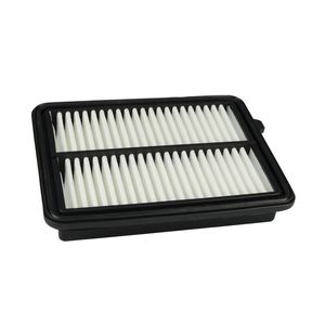 EcoGard Filters Air Filter ECO-XA11608