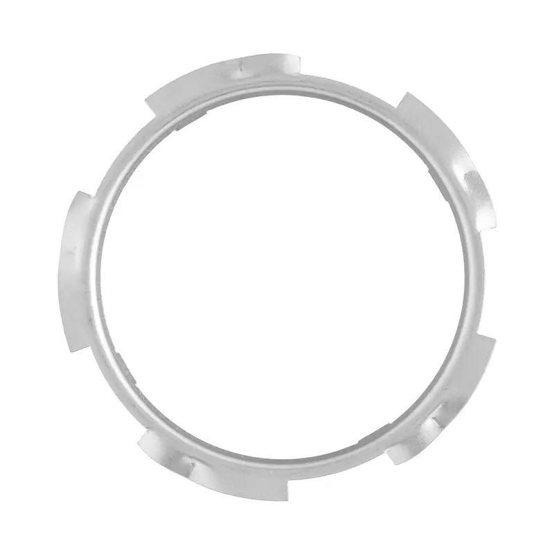 Delphi Fuel Tank Lock Ring FA10008