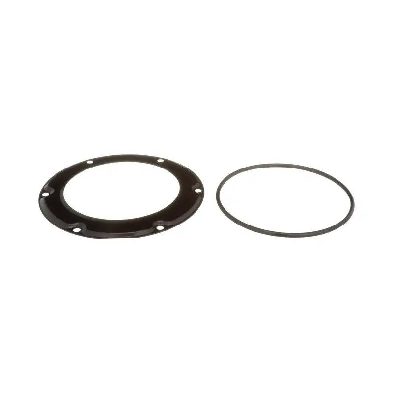 Delphi Fuel Tank Lock Ring FA10037