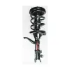 FCS Automotive Suspension Strut and Coil Spring Assembly FCS-1331631R