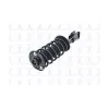 FCS Automotive Suspension Strut and Coil Spring Assembly FCS-1333468L