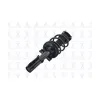 FCS Automotive Suspension Strut and Coil Spring Assembly FCS-1333490