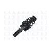 FCS Suspension Strut and Coil Spring Assembly FCS-1333490