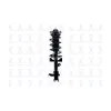 FCS FCS Automotive Suspension Strut and Coil Spring Assembly FCS-1333569L