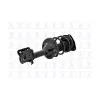 FCS Automotive Suspension Strut and Coil Spring Assembly FCS-1333748L