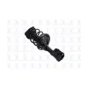FCS Automotive Suspension Strut and Coil Spring Assembly FCS-1333961R
