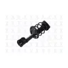 FCS Automotive Suspension Strut and Coil Spring Assembly FCS-1333961R