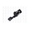 FCS FCS Automotive Suspension Strut and Coil Spring Assembly FCS-1334010L