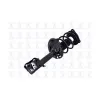 FCS FCS Automotive Suspension Strut and Coil Spring Assembly FCS-1334010R