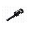 FCS Automotive Suspension Strut and Coil Spring Assembly FCS-1335825L