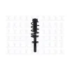 FCS Automotive Suspension Strut and Coil Spring Assembly FCS-1335991