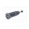 FCS Automotive Suspension Strut and Coil Spring Assembly FCS-1336326