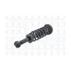 FCS Automotive Suspension Strut and Coil Spring Assembly FCS-1336331