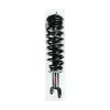 FCS Automotive Suspension Strut and Coil Spring Assembly FCS-1336334
