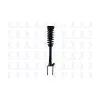 FCS Automotive Suspension Strut and Coil Spring Assembly FCS-1337007