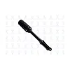 FCS Automotive Suspension Strut and Coil Spring Assembly FCS-1337007