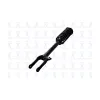 FCS Automotive Suspension Strut and Coil Spring Assembly FCS-1337007