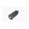 FCS Automotive Suspension Strut and Coil Spring Assembly FCS-1345497